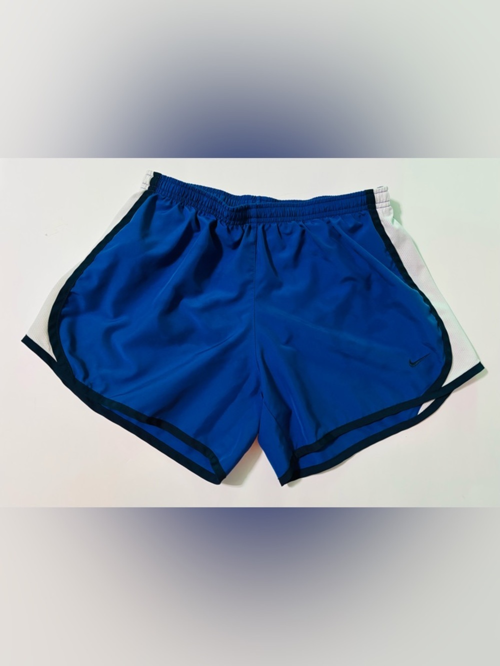 Nike Blue and White Athletic Shorts